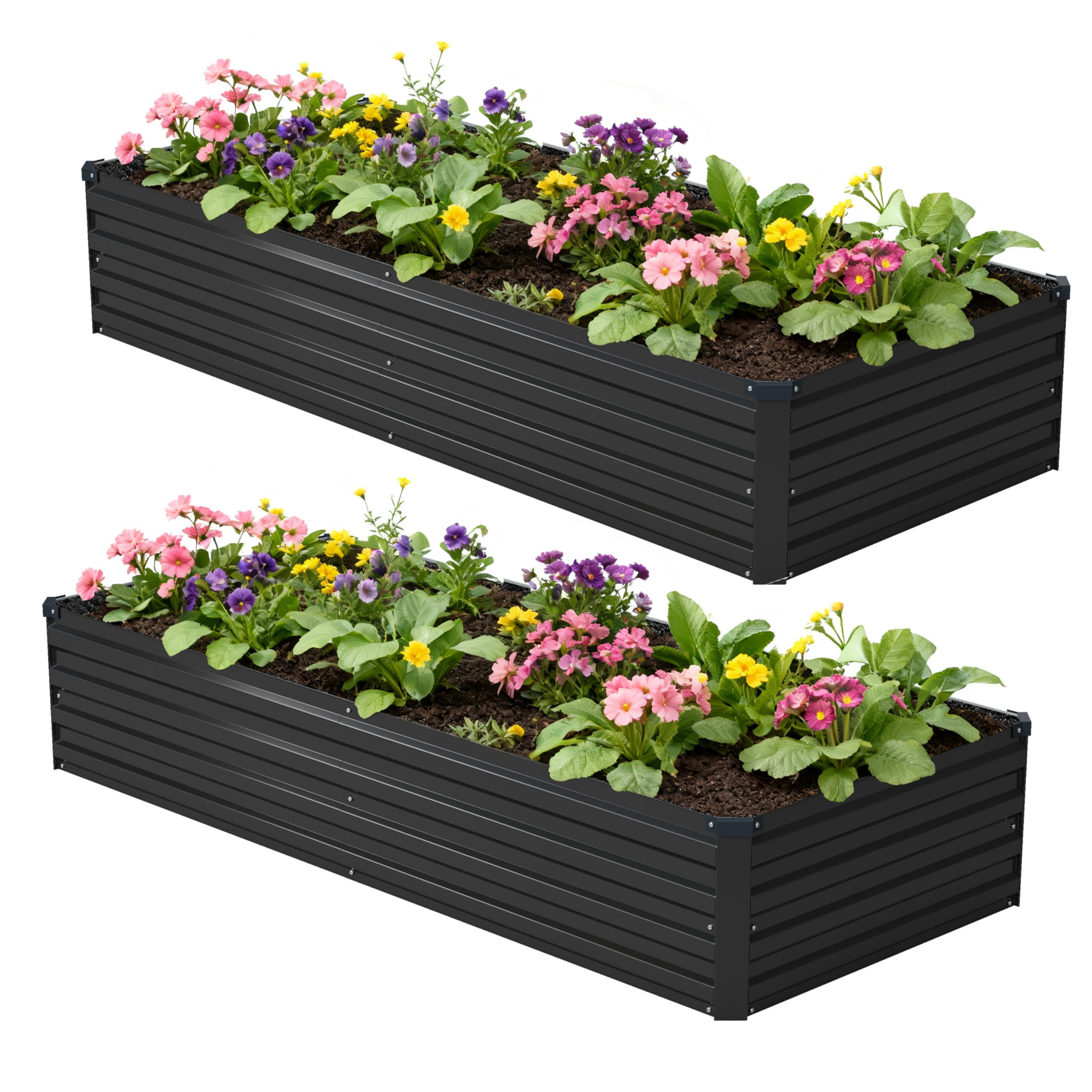 Amazon.com: Foxlang 8x2x1ft(2 Pack) Galvanized Raised Garden Bed